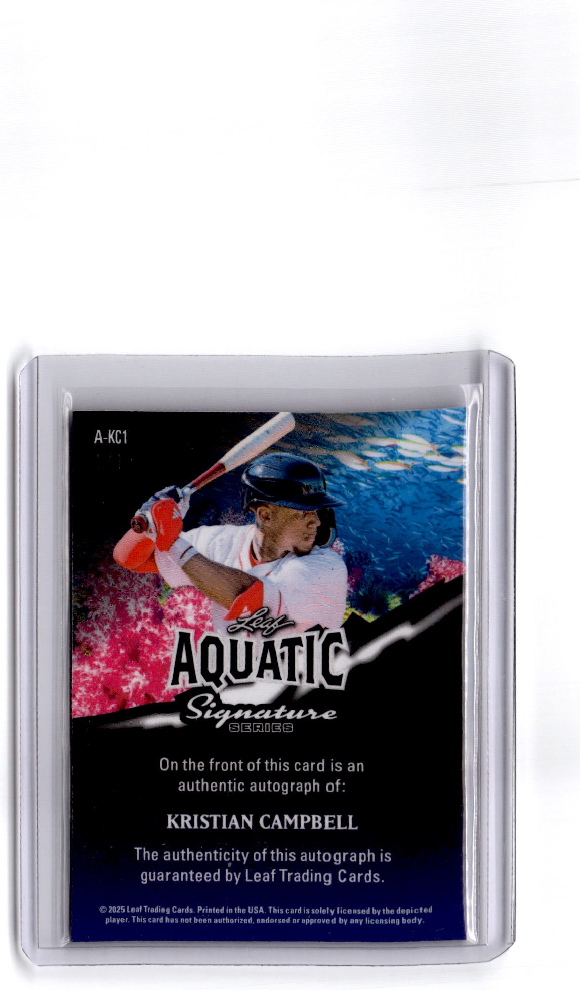 2025 Leaf Signature Series - Aquatic Crystal Koi Fish #A-KC1 Kristian Campbell