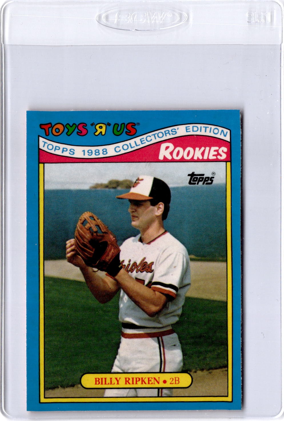 1988 Topps Toys "R" Us Rookies #25 Billy Ripken